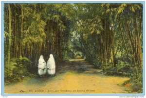 allee-des-bambou