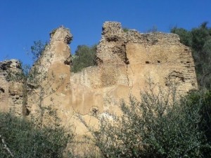 Ruines_romaine_de_Tubusuptu,_Tiklat,_El_Kseur